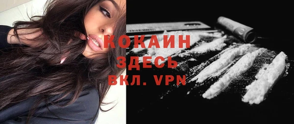 дурь Бронницы