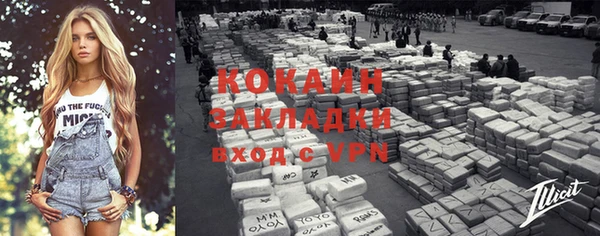 ГАЛЛЮЦИНОГЕННЫЕ ГРИБЫ Богданович
