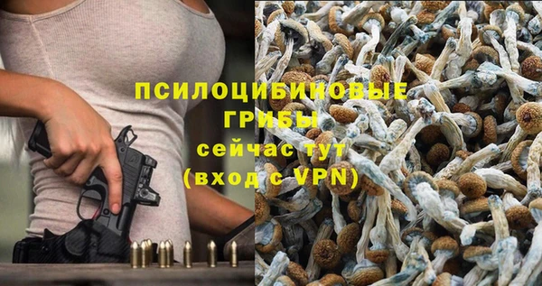 ГАЛЛЮЦИНОГЕННЫЕ ГРИБЫ Богданович