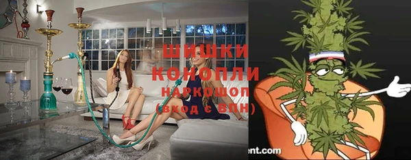 дурь Бронницы