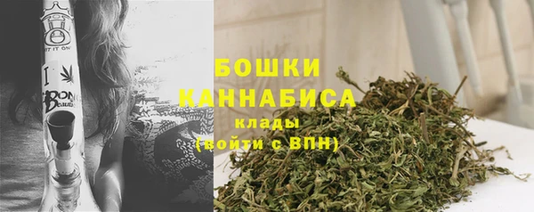 дурь Бронницы