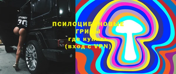 дурь Бронницы