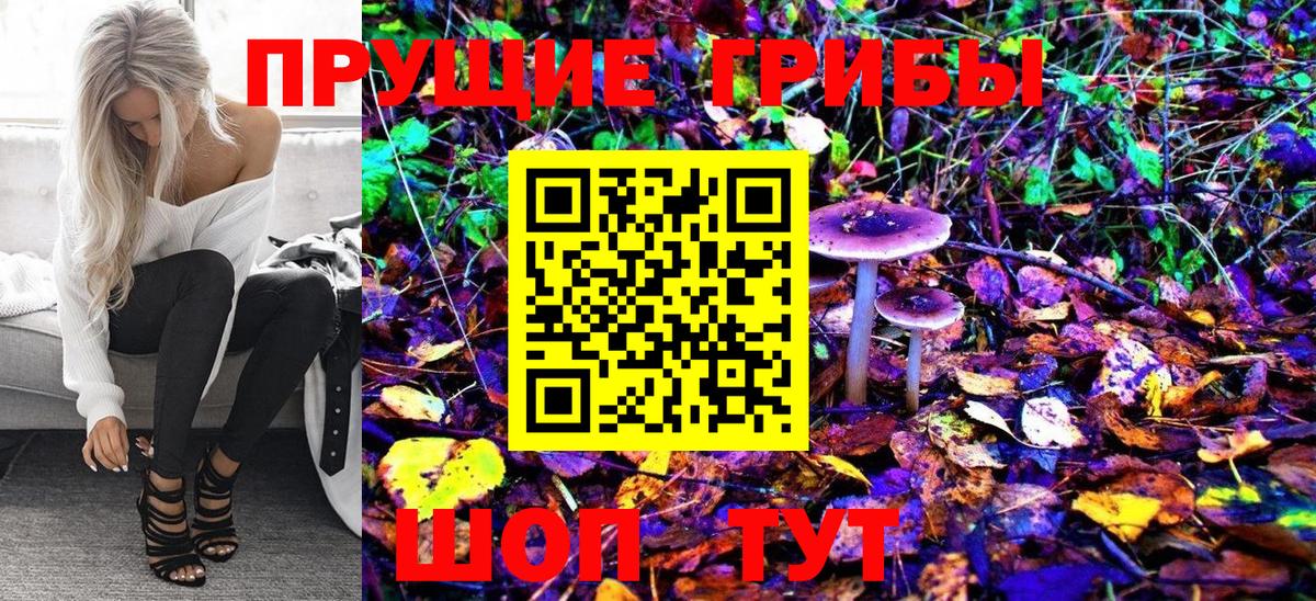 хочу наркоту  Вход с VPN  Валуйки  Псилоцибиновые грибы Magic Shrooms 